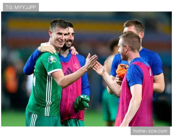 北爱尔兰0-1不敌斯洛伐克 小组排名第三